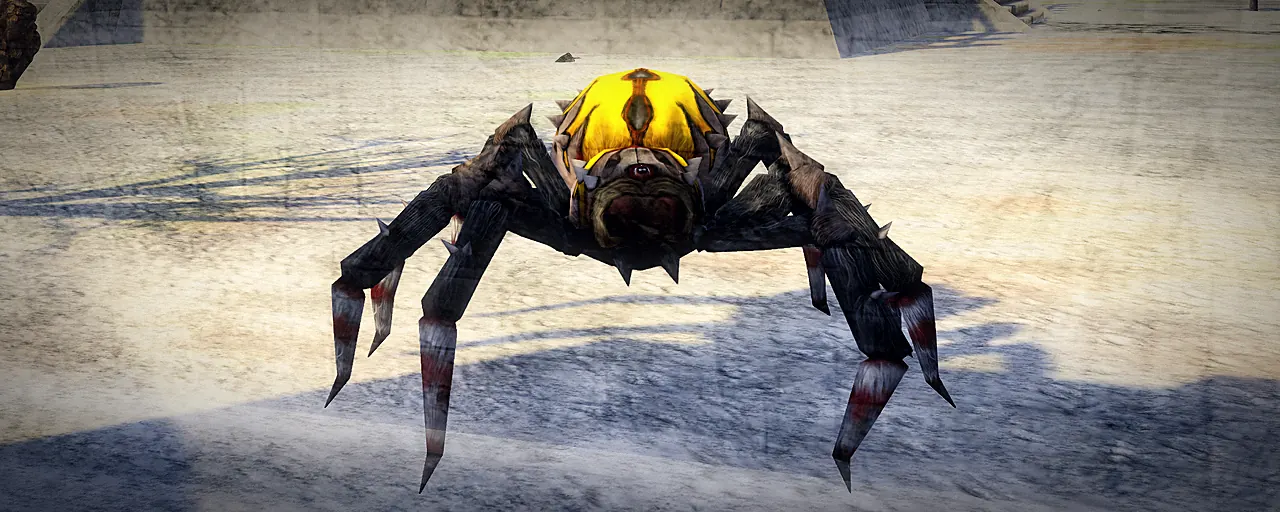 Königinnenspinne